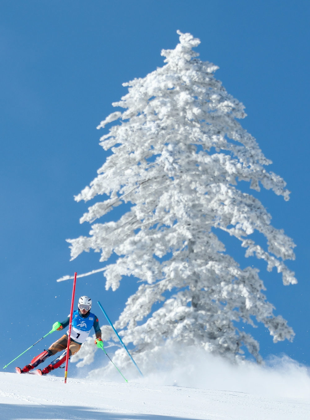 ↑2025年2月9日，中国选手刘校辰在第九届亚冬会高山滑雪男子回转比赛中。