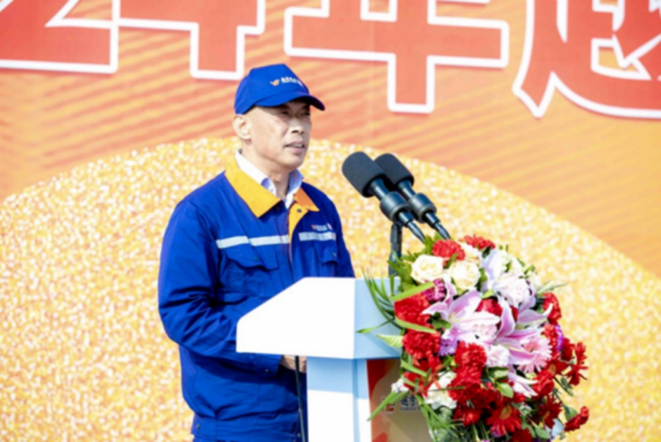 白瑛 图源网络