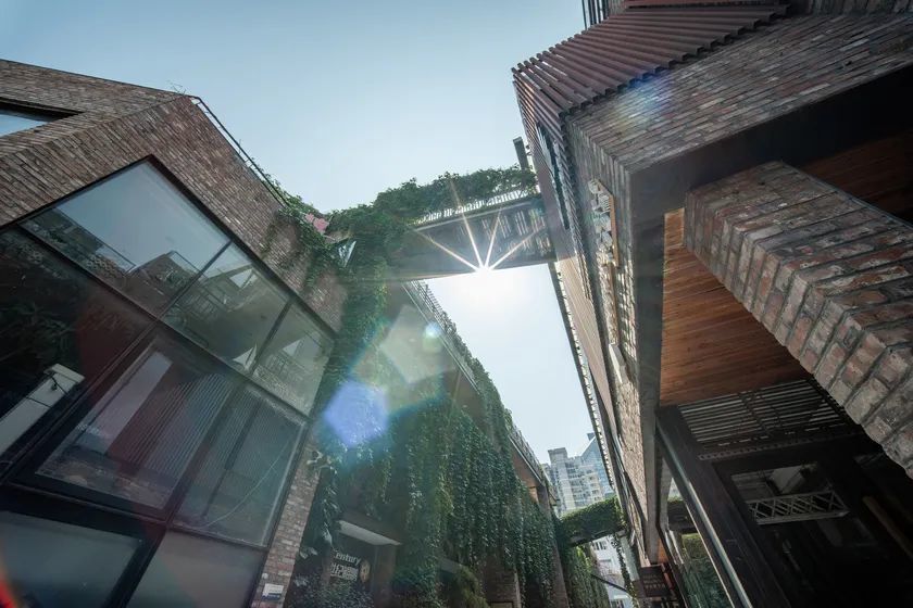 老蛙12mm F2.8评测