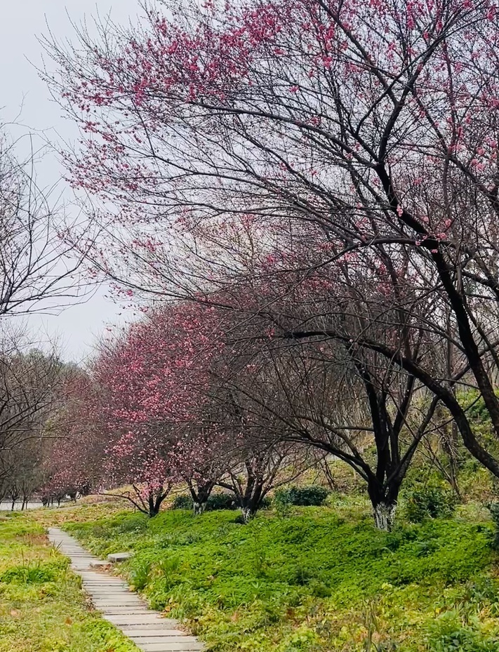 ScreenShot_2025-12-21_154830_504