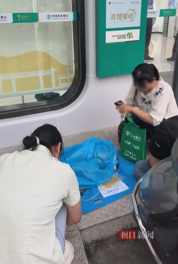 网络视频截图