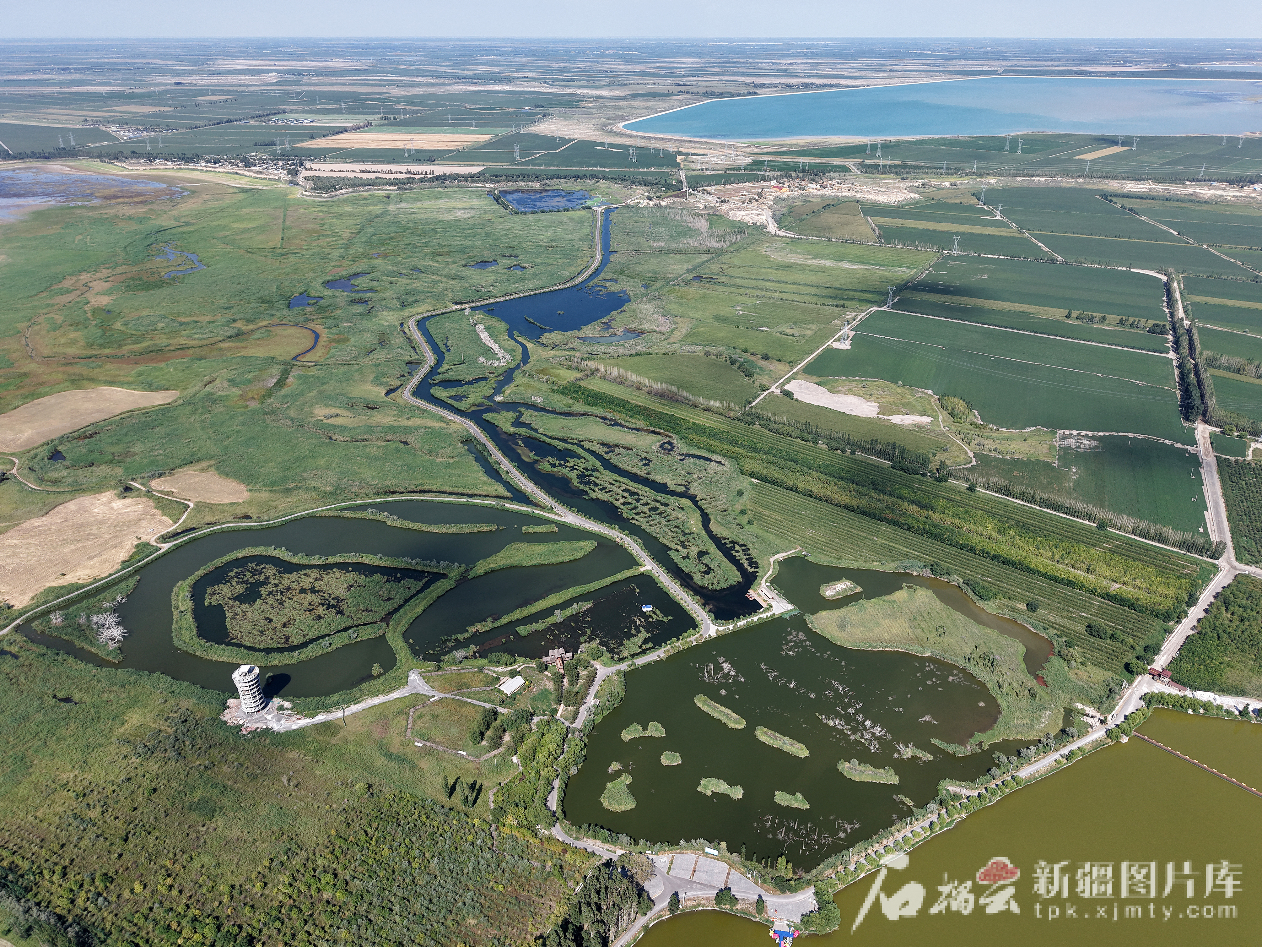 8月10日,俯瞰玛纳斯国家湿地公园。