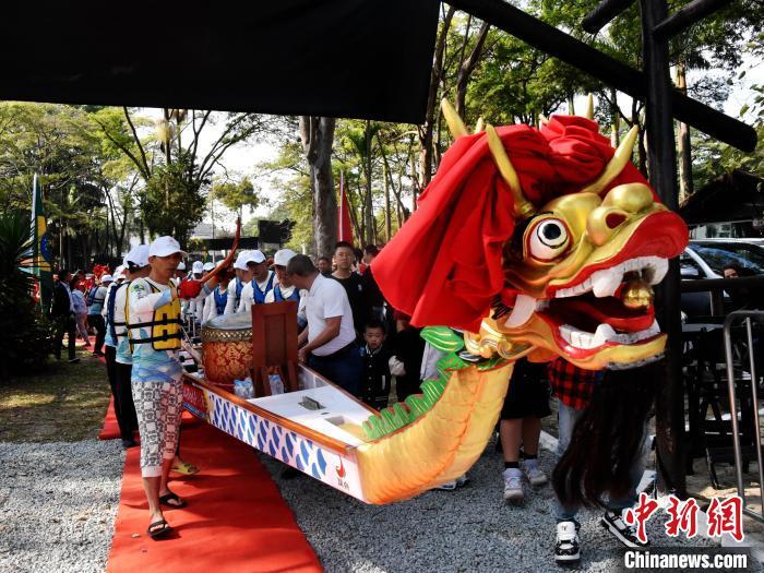 当地时间5月31日，巴西瑞安商会和巴西青田同乡总会在巴西圣保罗联合举办“庆端午，龙舟竞渡”活动，吸引近500名侨胞和巴西友人参加。图为瑞安龙舟俱乐部的龙舟上水。 中新社记者 林春茵 摄
