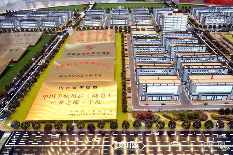 平度假睫毛产业获得了众多荣誉称号（央广网记者 唐磊 摄）