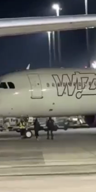 ▲相关视频截图