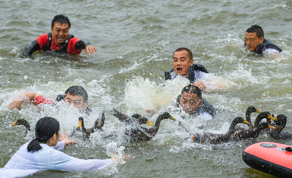 2025年5月31日，四川省乐山市五通桥区龙舟健儿参与“抢鸭子”。当日是端午节，各地群众以多种方式欢度假期。新华社发（孔胜摄）