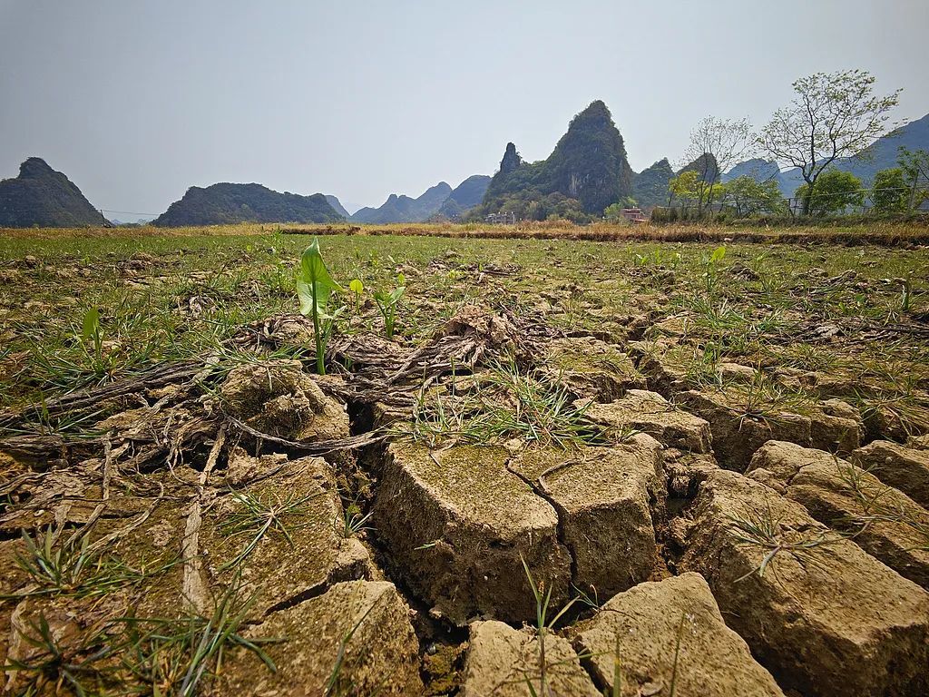 4月3日,广西桂林,开裂的土地。图/视觉中国
