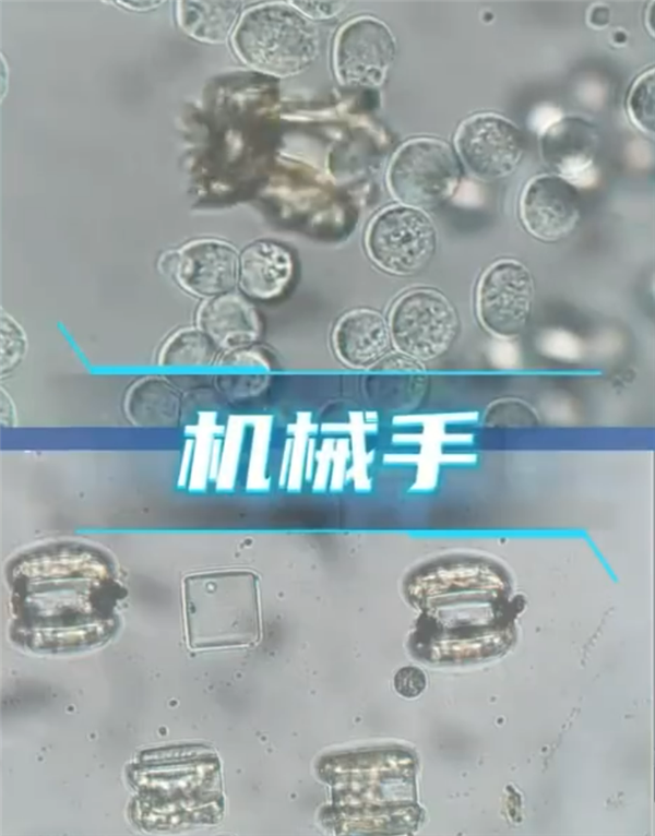 科幻成真！中国科学家造出纳米医生：不用挨针 直接吞下治病