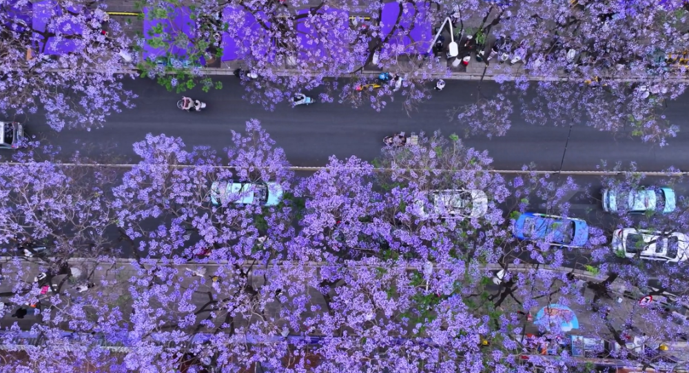 һڣн̳·ɫʢ