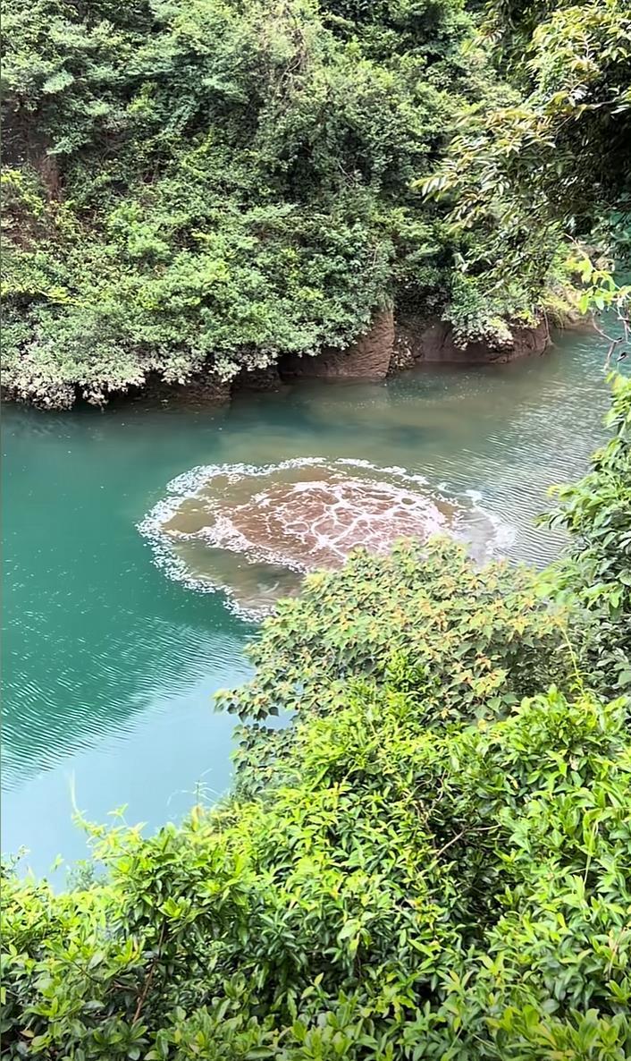 清幽水面中涌出浑浊的水花