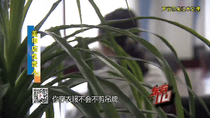 上海警方通报:黄某(女,00后)被抓获!来沪2个多月,衣食住行全靠白嫖,详情公布