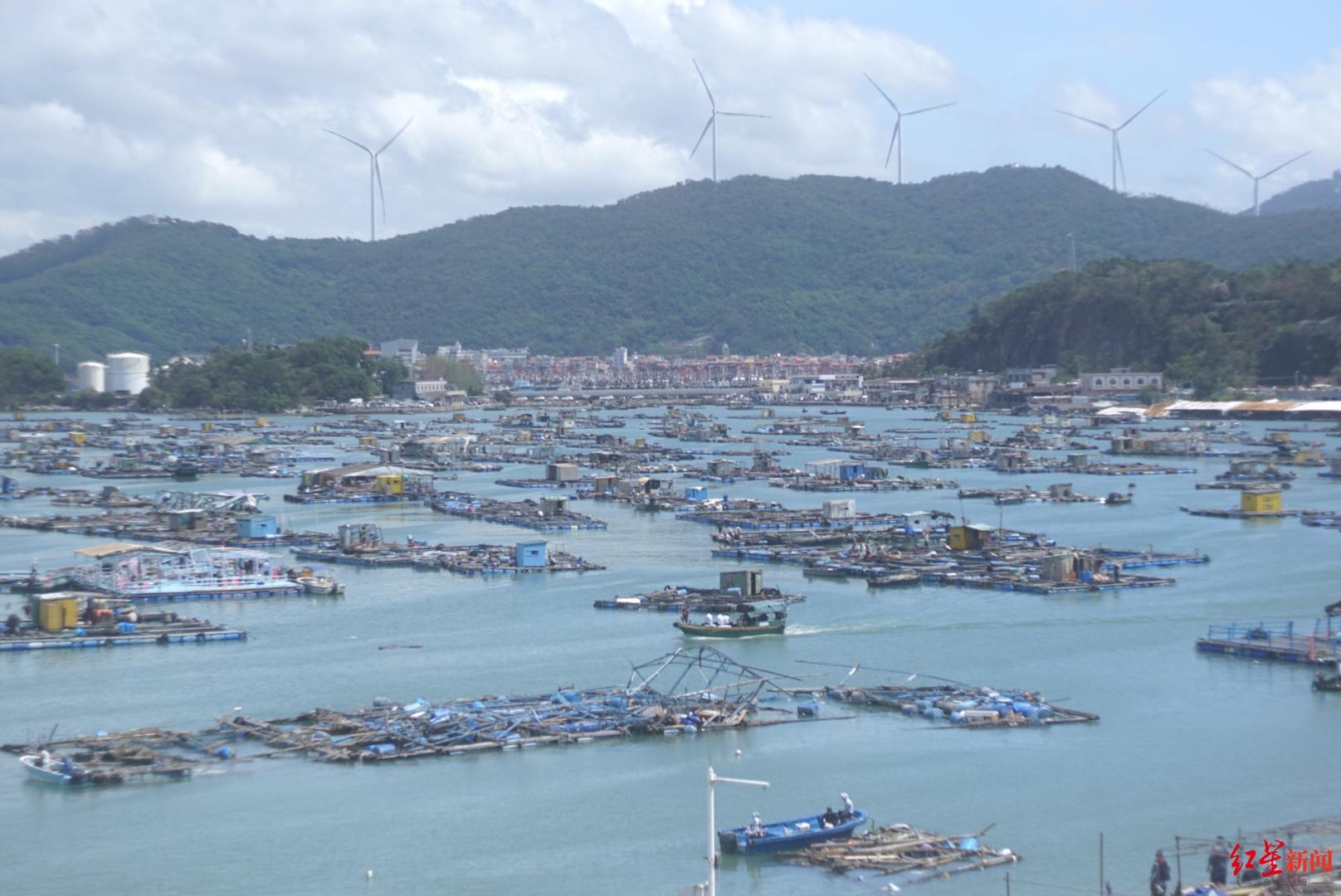 ▲9月26日海陵岛，渔排被冲散，渔民驾驶小船清点损失