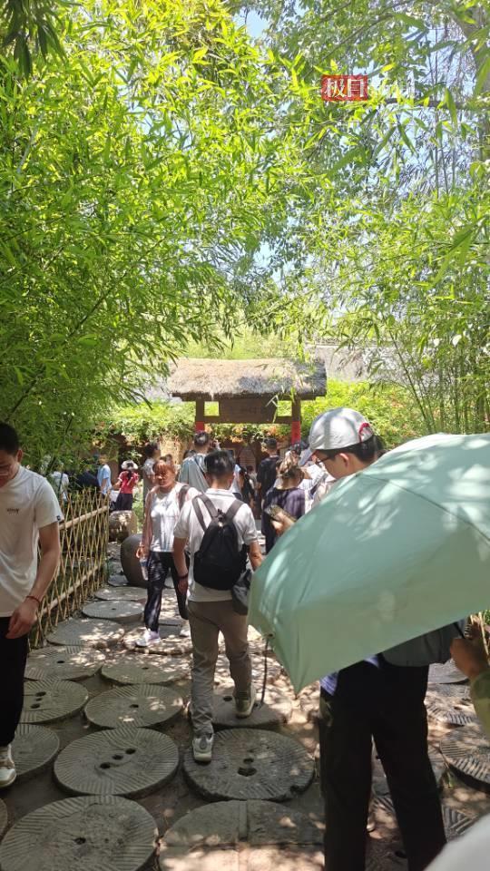 白马寺不语茶舍
