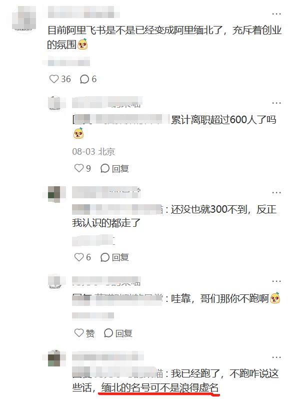 图源：小红书