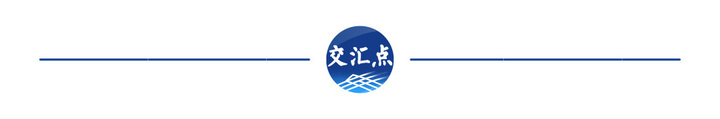 经济大省挑大梁·高手在“民”间|“三头六臂”,诠释何以“新沪商”
