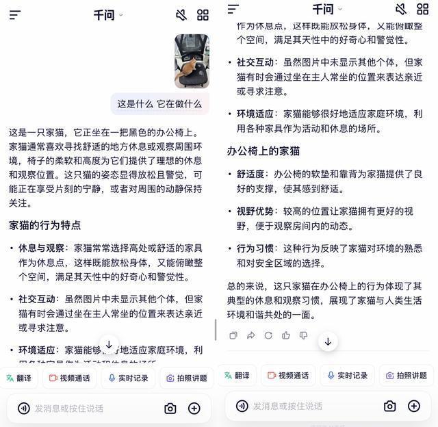 刚刚,阿里宣战ChatGPT