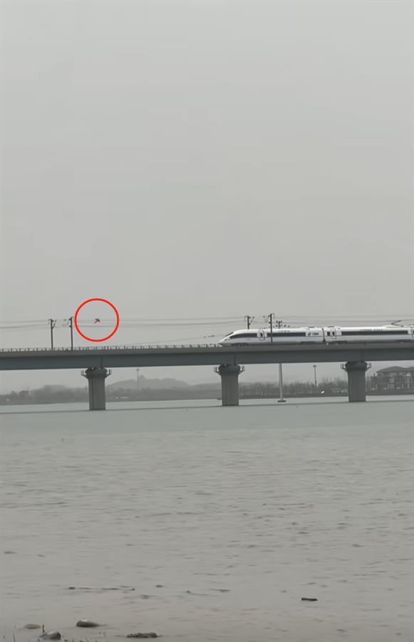现场视频截图(图源:网络)
