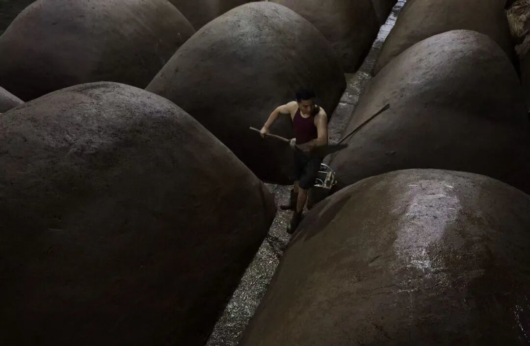 酿造时光 Aging in Time,2025