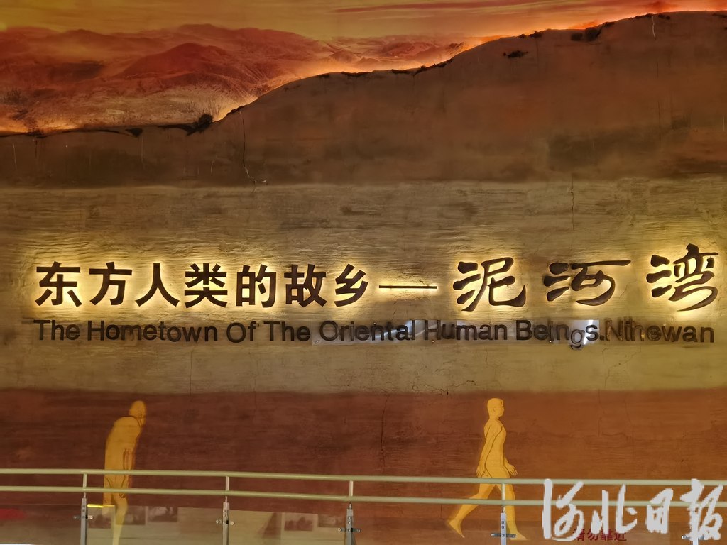 泥河湾博物馆内景。河北日报资料片