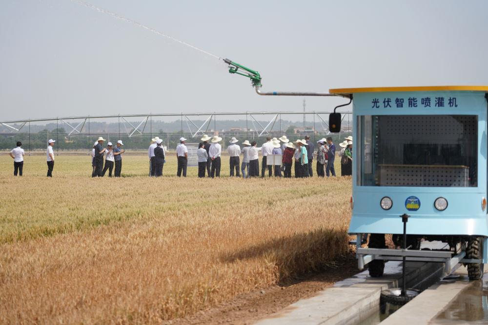 △2025年5月20日,上海合作组织减贫和可持续发展论坛在陕西西安开幕。这是5月19日,与会人员在陕西杨凌示范区进行实地考察等活动。