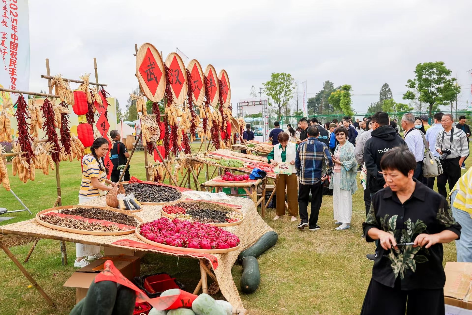 微信图片_20250923175011_271_137