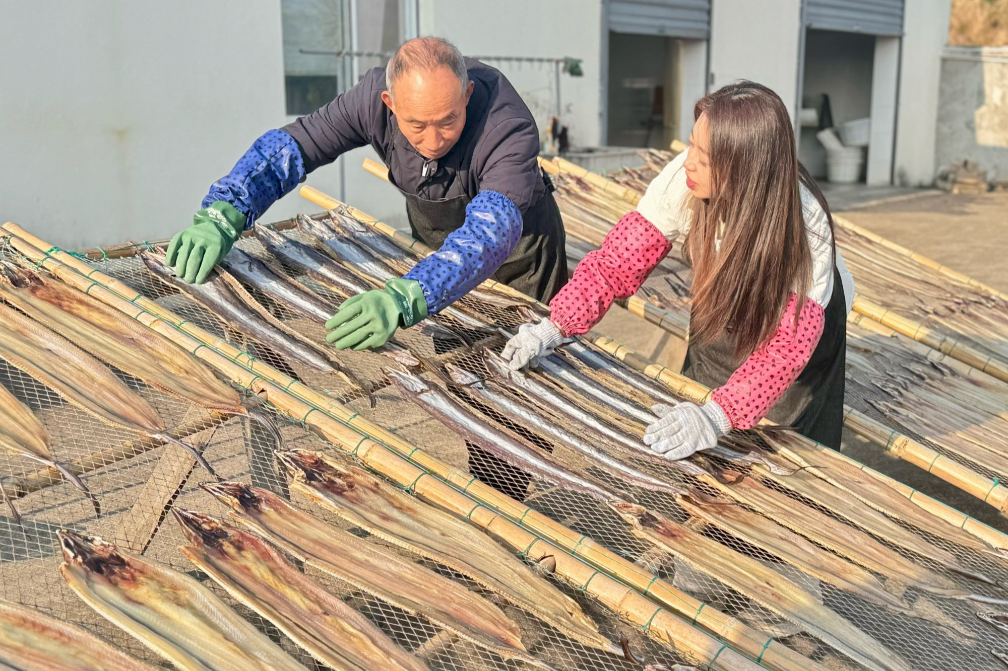 记者体验晒鱼鲞(央广网记者 陈金莲 摄)