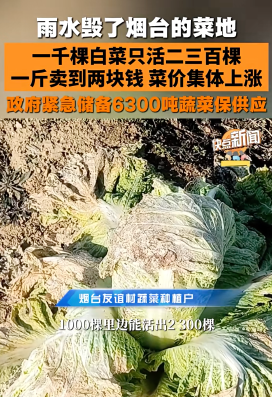 今年的异常天气影响了蔬菜供应。(图/@快点新闻)