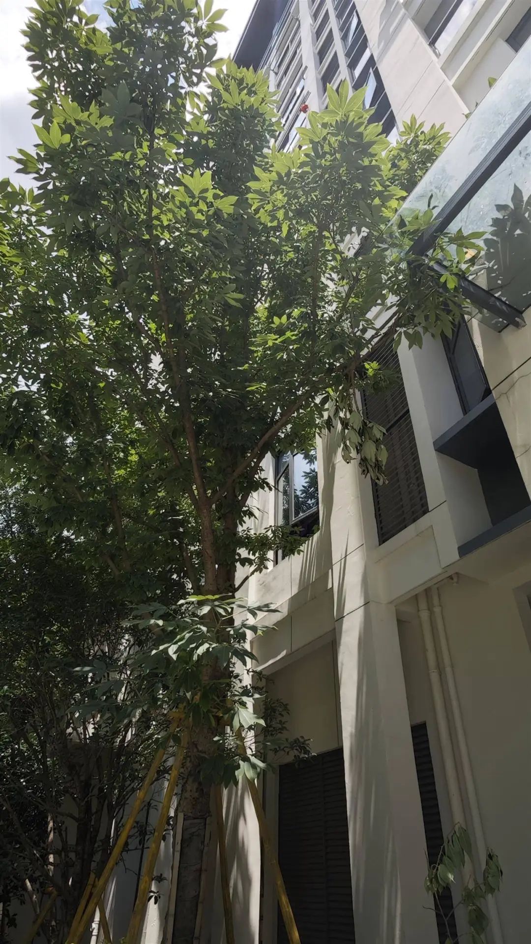 小孩坠楼的楼栋（图片由家属提供）