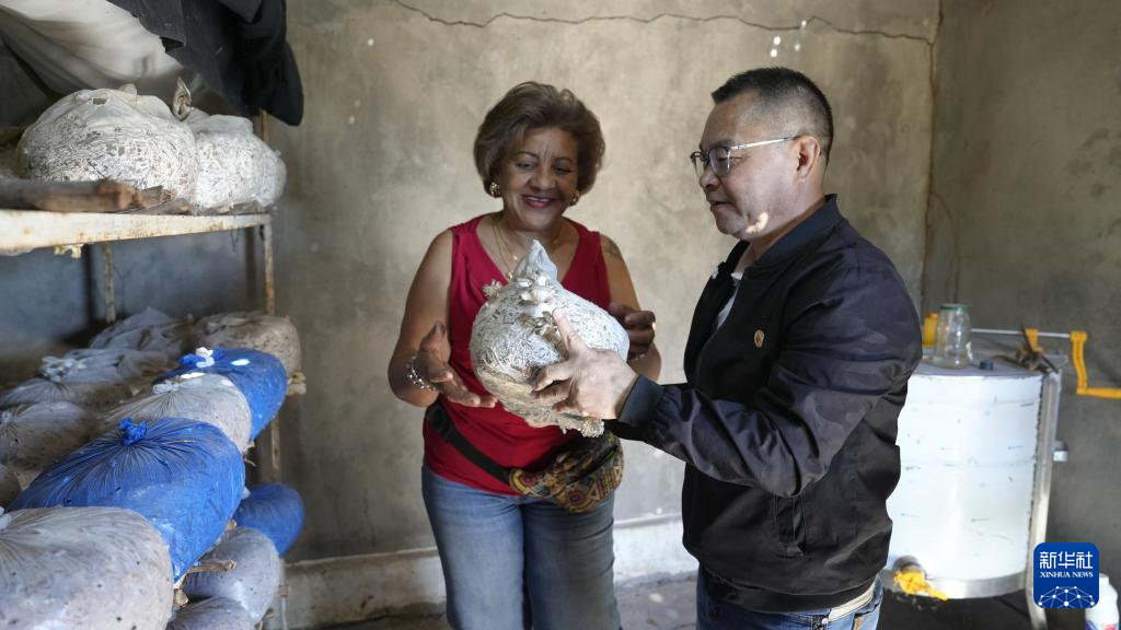6月13日，在莫桑比克马普托省马托拉市，中国援莫农业专家组食用菌专家邓文明（右）同农户卡拉&middot;马丽扎交流食用菌种植情况。新华社记者 刘杰 摄