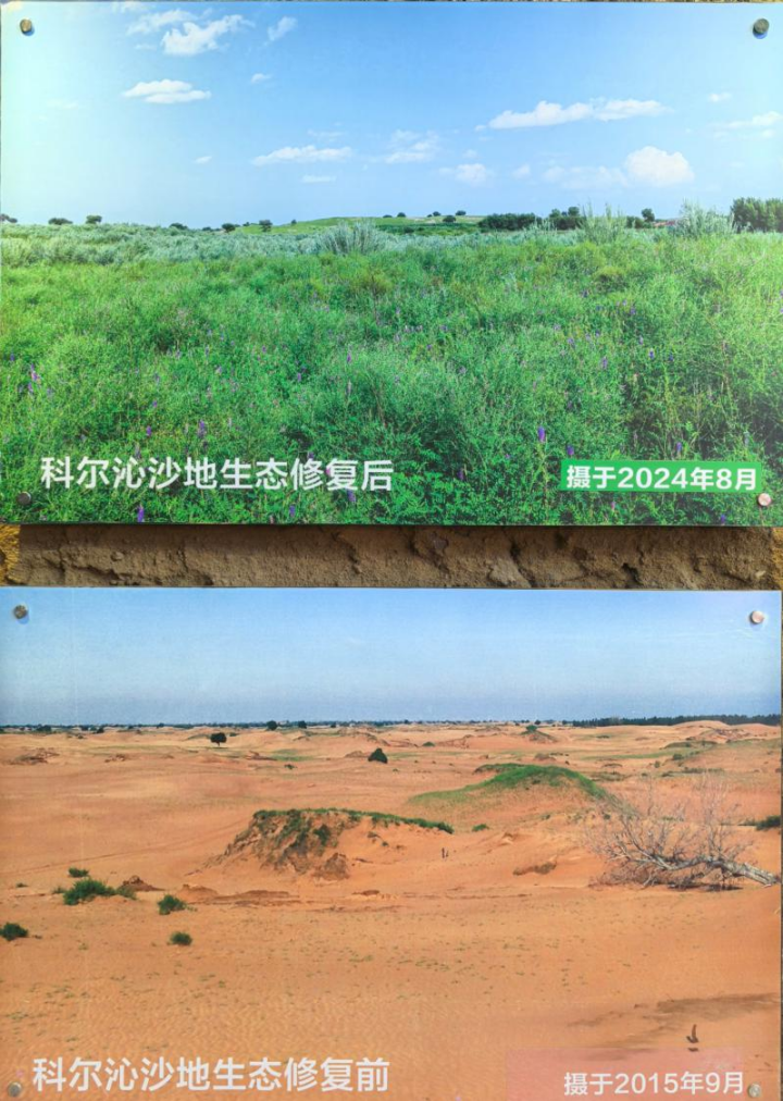 科尔沁沙地生态修复对比图