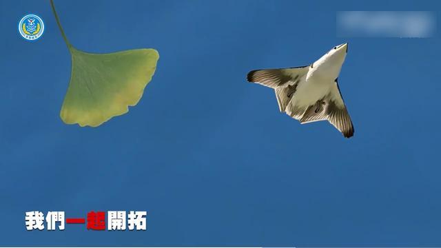 “银杏叶与褐雨燕”