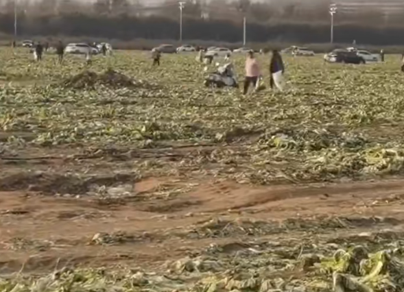 △網(wǎng)絡(luò)視頻截圖