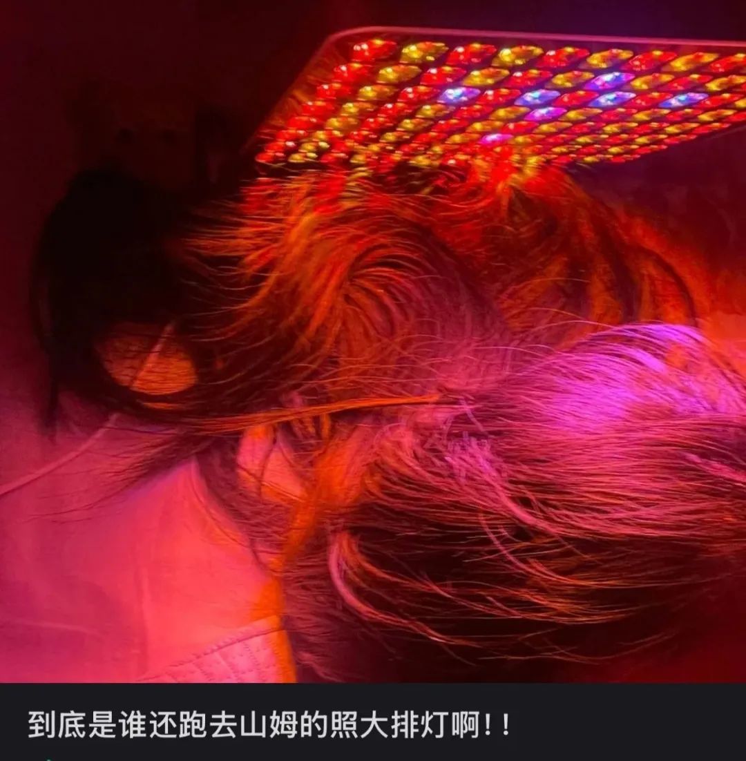 〓图源：@小红书用户一颗自由菜