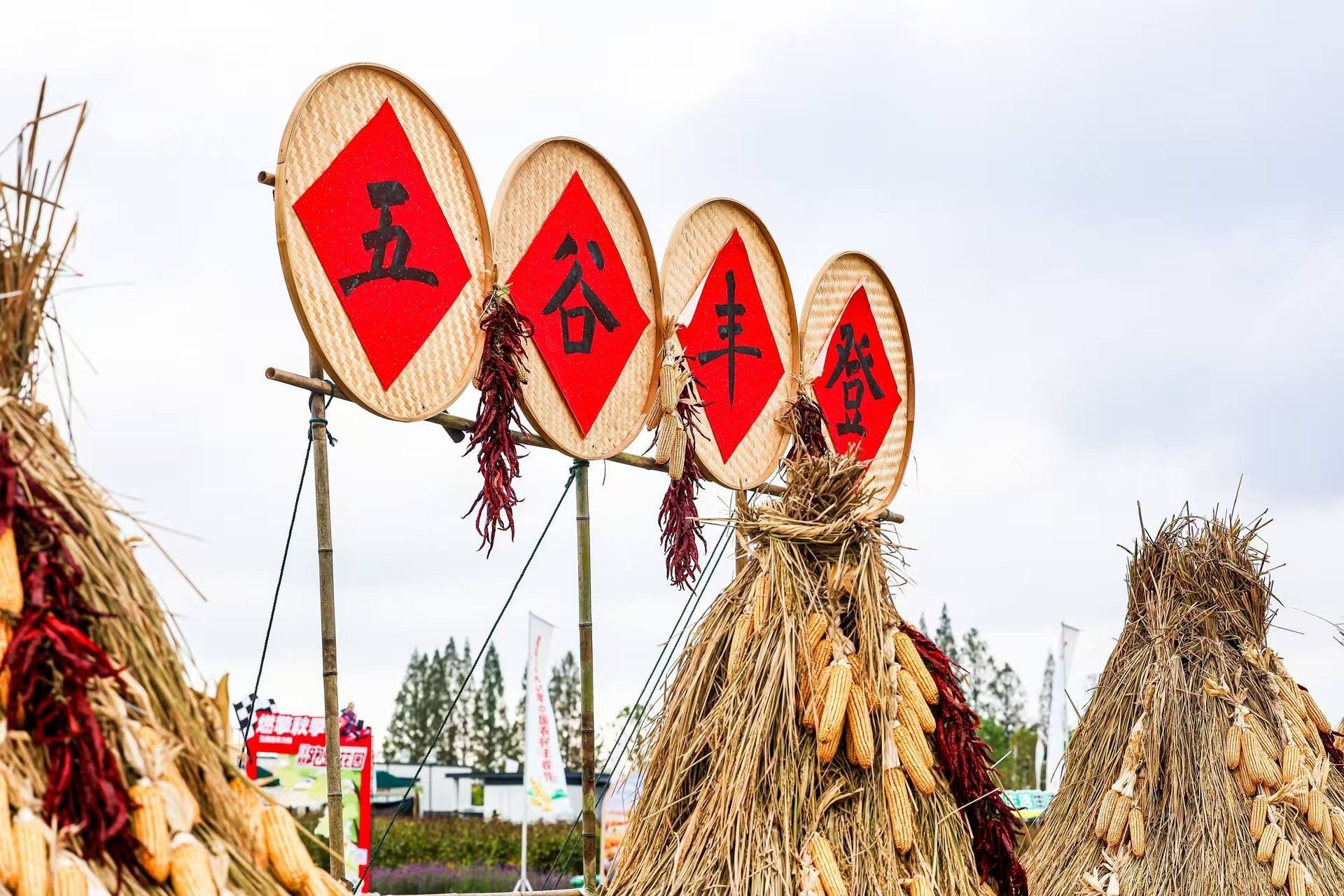 微信图片_20250923174950_270_137