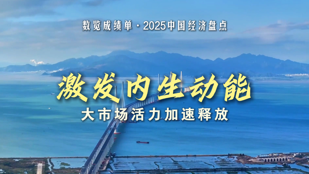 数览成绩单&middot;2025中国经济盘点｜激发内生动能，大市场活力加速释放
