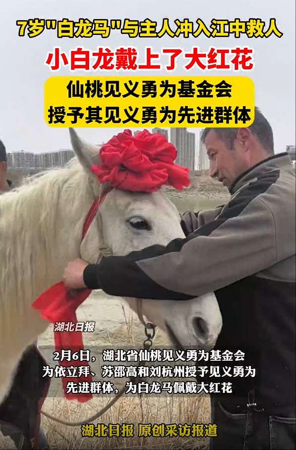 wechat_2025-02-12_165648_242.png