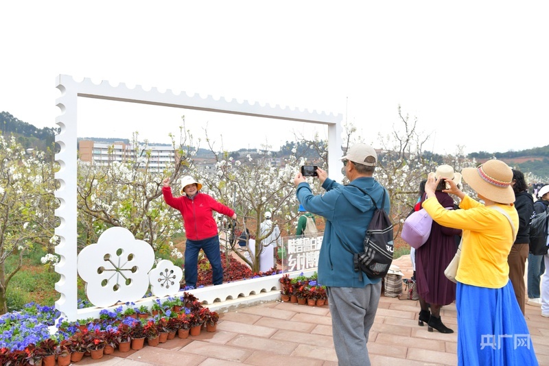 游客在梨花节打卡拍照（央广网发 杨淼茹 摄）