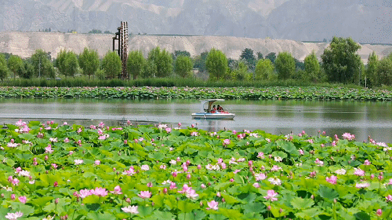 暑期经济观察｜亲近自然享清凉 “绿水青山”释放暑期文旅消费新活力