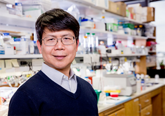 陳志堅(jiān)教授/圖源:Cancer Prevention&Research Institute of Texas