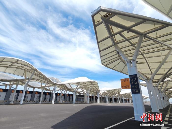 7月29日,海口新海港和南港“二线口岸”(货运)集中查验场内的海关人工查验区。中新网记者 王子谦