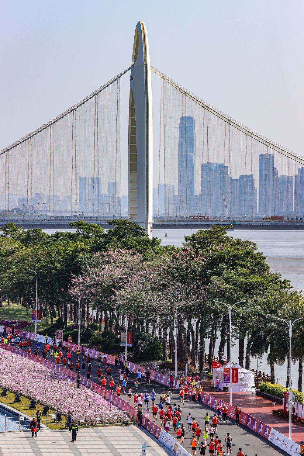 2024年12月8日，参赛选手在广州马拉松比赛中。新华社发（黄晋文摄）