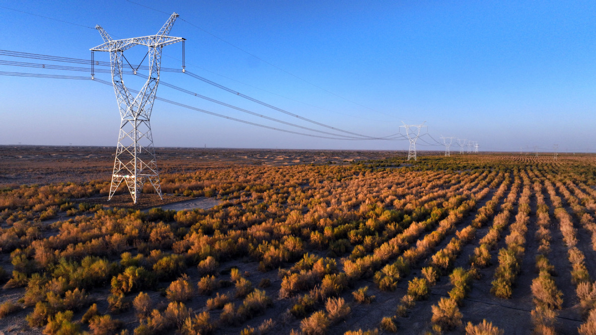 2025年10月18日,民丰—且末—若羌750千伏输电线路工程与胡杨林和谐共处。(马元 摄)