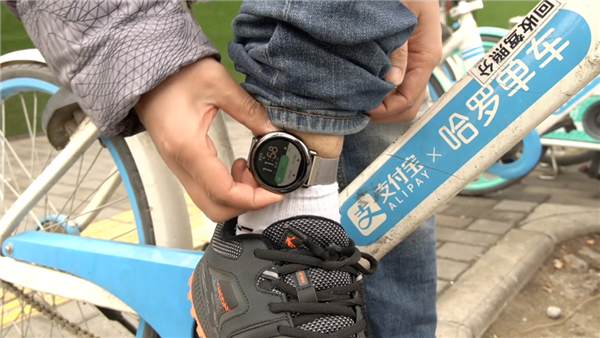 支付宝蚂蚁森林种了6亿棵树!只用短短9年