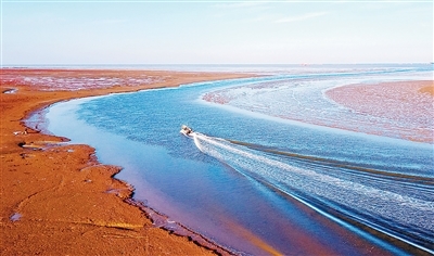 生态文明建设实现新进步(新时代画卷·决战决胜“十四五”)