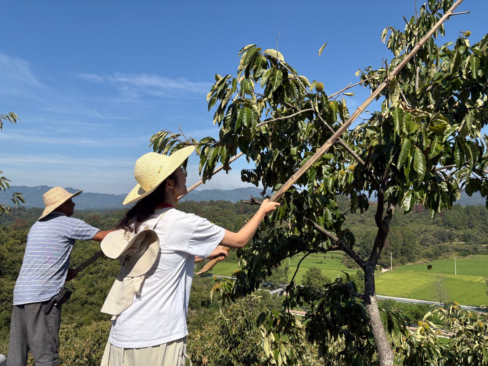 微信图片_2025-08-29_213001_186