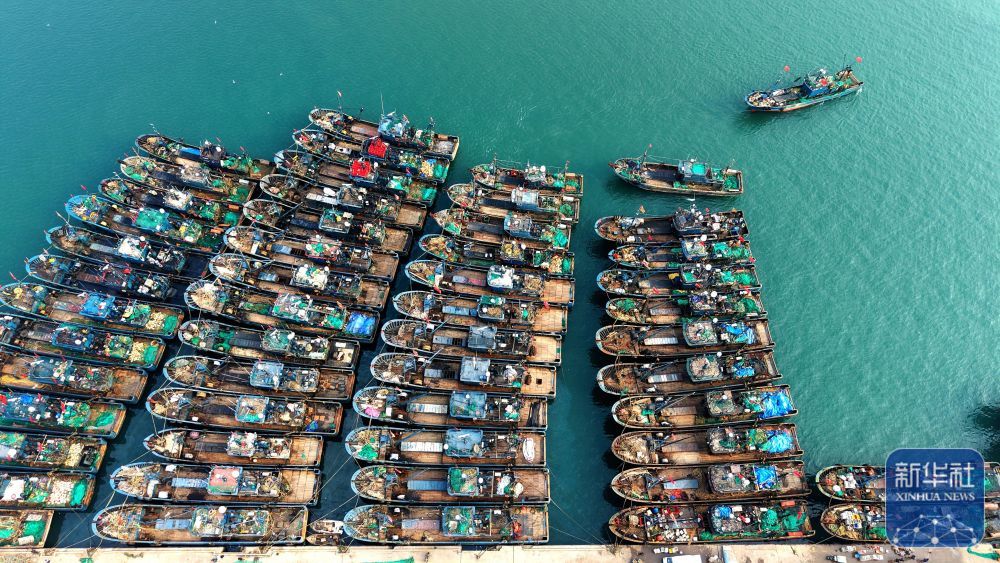 ↑ 12月11日,在山东青岛西海岸新区积米崖渔港,渔船停靠在泊位上(无人机照片)。新华社发(俞方平 摄)