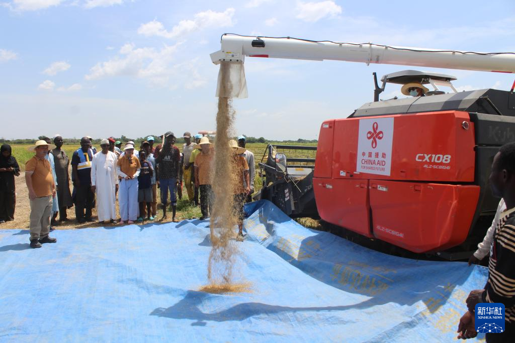 10月4日,在乍得哈杰尔-拉米斯省杜吉亚区米代金村,人们观看收割机作业演示。新华社发(阿诺摄)