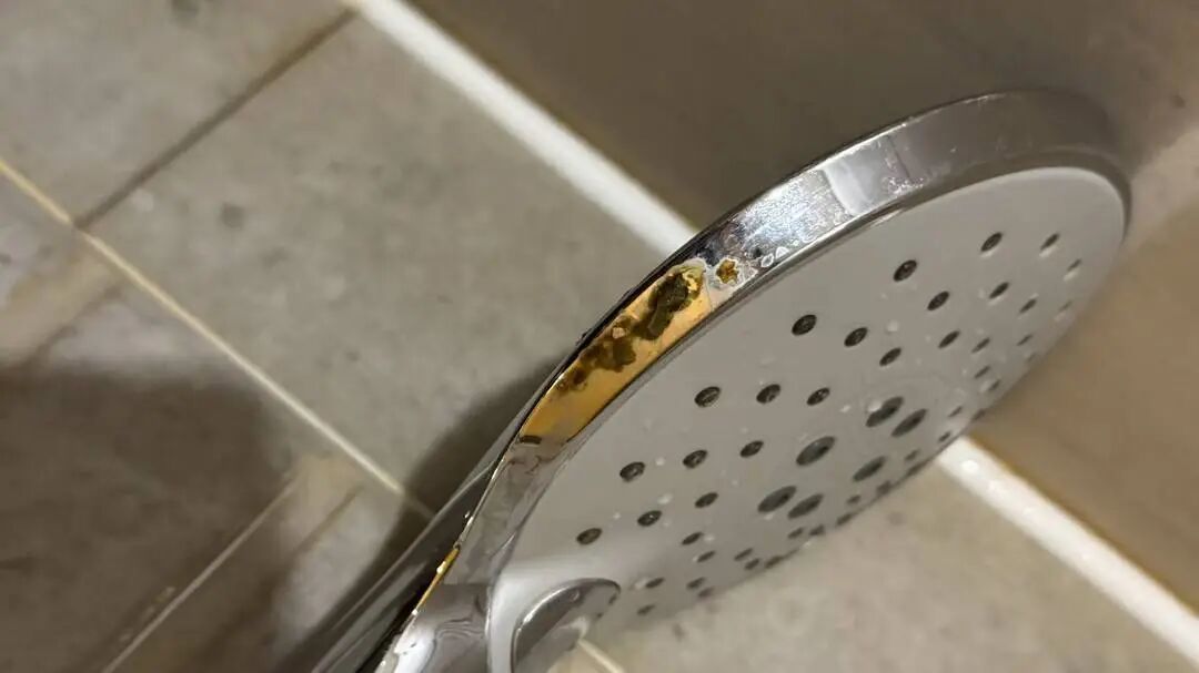 花灑上的可疑物(受訪者供圖)