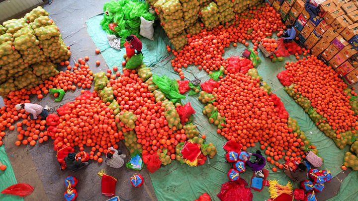 工作人员在山东寿光农产品物流园整理销往全国各地的蔬菜（1月21日摄，无人机照片）。新华社记者 徐速绘 摄