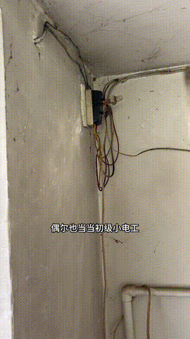 小红回村种地了的抖音 - 抖音 -middle-original (3).gif